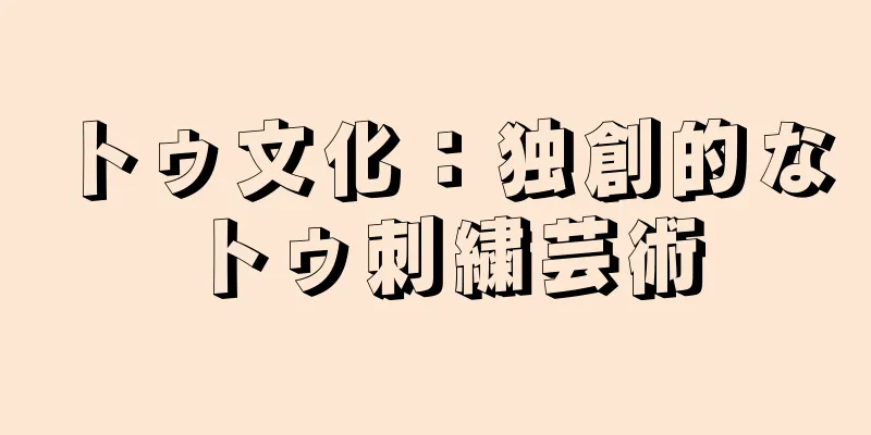 トゥ文化：独創的なトゥ刺繍芸術