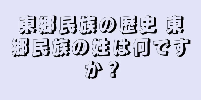 東郷民族の歴史 東郷民族の姓は何ですか？