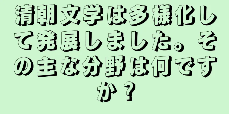 清朝文学は多様化して発展しました。その主な分野は何ですか？