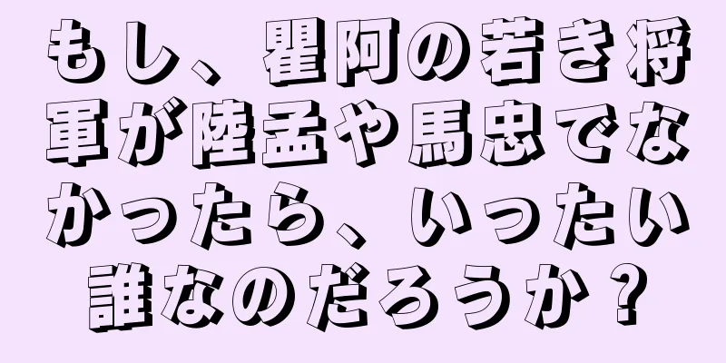 もし、瞿阿の若き将軍が陸孟や馬忠でなかったら、いったい誰なのだろうか？