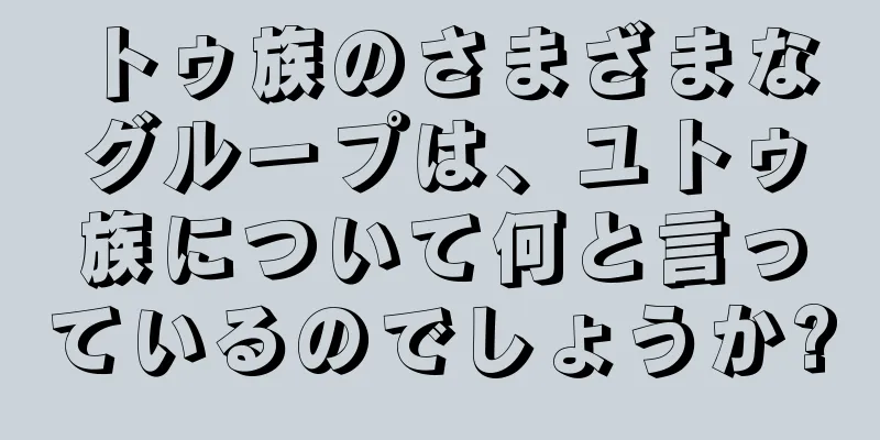 トゥ族のさまざまなグループは、ユトゥ族について何と言っているのでしょうか?