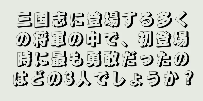 三国志に登場する多くの将軍の中で、初登場時に最も勇敢だったのはどの3人でしょうか？