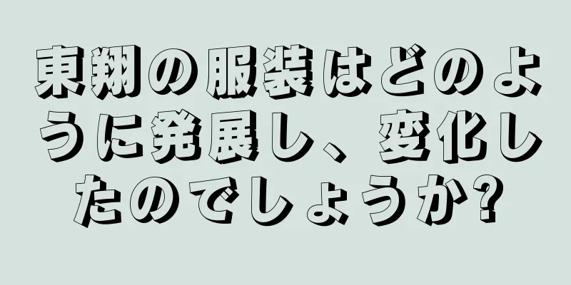 東翔の服装はどのように発展し、変化したのでしょうか?