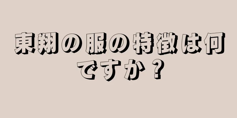 東翔の服の特徴は何ですか？