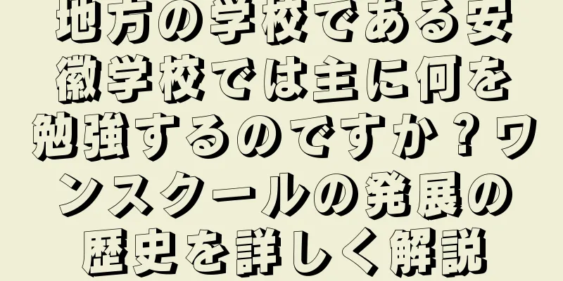 地方の学校である安徽学校では主に何を勉強するのですか？ワンスクールの発展の歴史を詳しく解説