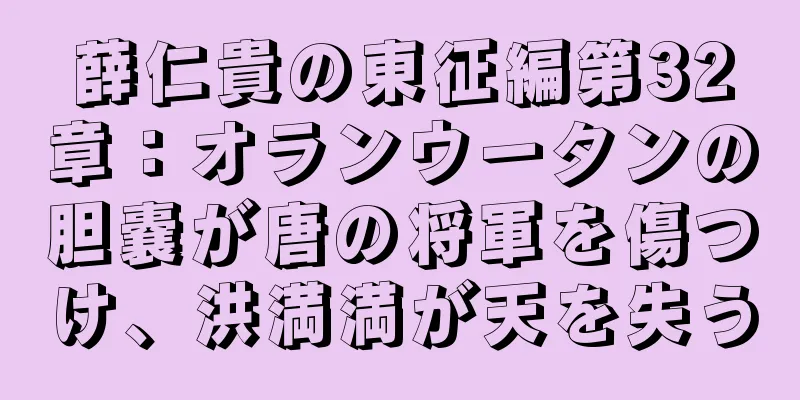薛仁貴の東征編第32章：オランウータンの胆嚢が唐の将軍を傷つけ、洪満満が天を失う