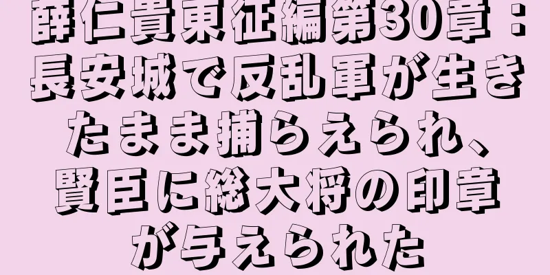 薛仁貴東征編第30章：長安城で反乱軍が生きたまま捕らえられ、賢臣に総大将の印章が与えられた