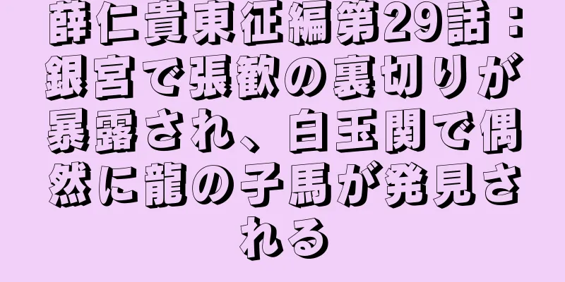 薛仁貴東征編第29話：銀宮で張歓の裏切りが暴露され、白玉関で偶然に龍の子馬が発見される