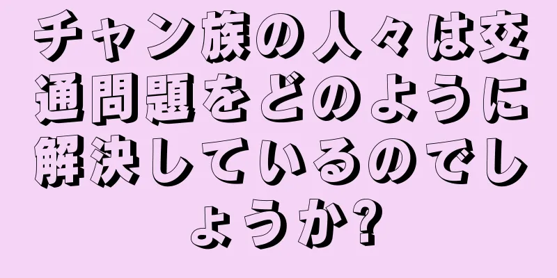 チャン族の人々は交通問題をどのように解決しているのでしょうか?