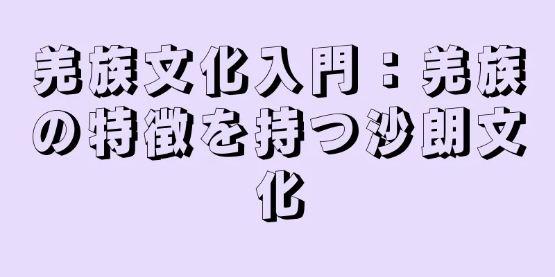 羌族文化入門：羌族の特徴を持つ沙朗文化
