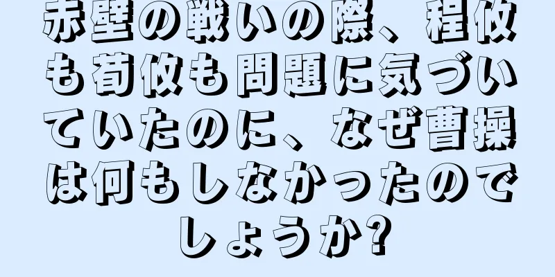 赤壁の戦いの際、程攸も荀攸も問題に気づいていたのに、なぜ曹操は何もしなかったのでしょうか?