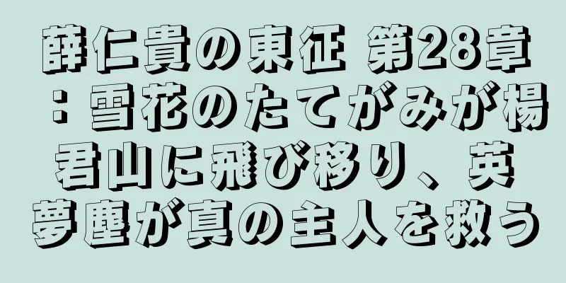 薛仁貴の東征 第28章：雪花のたてがみが楊君山に飛び移り、英夢塵が真の主人を救う