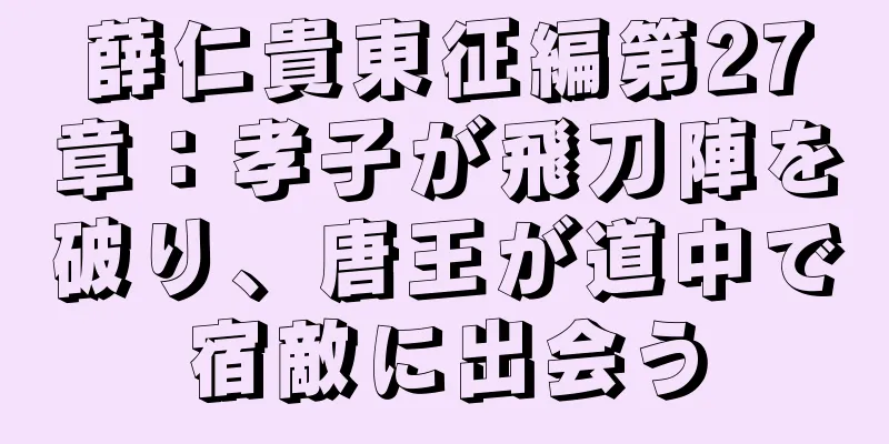 薛仁貴東征編第27章：孝子が飛刀陣を破り、唐王が道中で宿敵に出会う