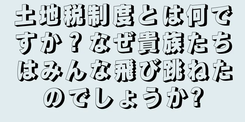 土地税制度とは何ですか？なぜ貴族たちはみんな飛び跳ねたのでしょうか?
