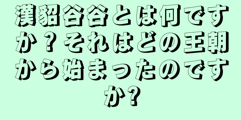 漢貂谷谷とは何ですか？それはどの王朝から始まったのですか?