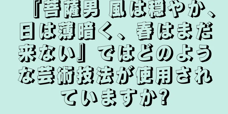 『菩薩男 風は穏やか、日は薄暗く、春はまだ来ない』ではどのような芸術技法が使用されていますか?