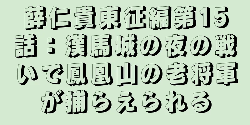 薛仁貴東征編第15話：漢馬城の夜の戦いで鳳凰山の老将軍が捕らえられる