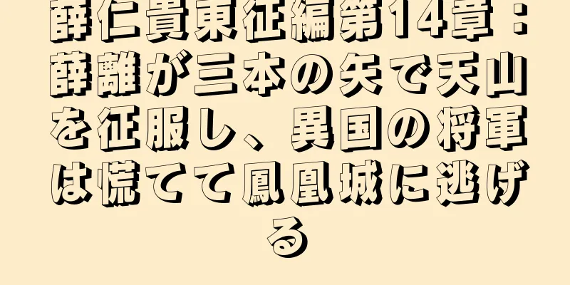 薛仁貴東征編第14章：薛離が三本の矢で天山を征服し、異国の将軍は慌てて鳳凰城に逃げる