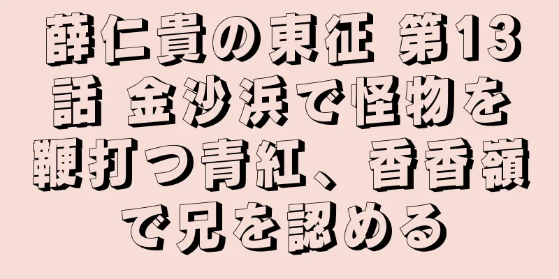 薛仁貴の東征 第13話 金沙浜で怪物を鞭打つ青紅、香香嶺で兄を認める