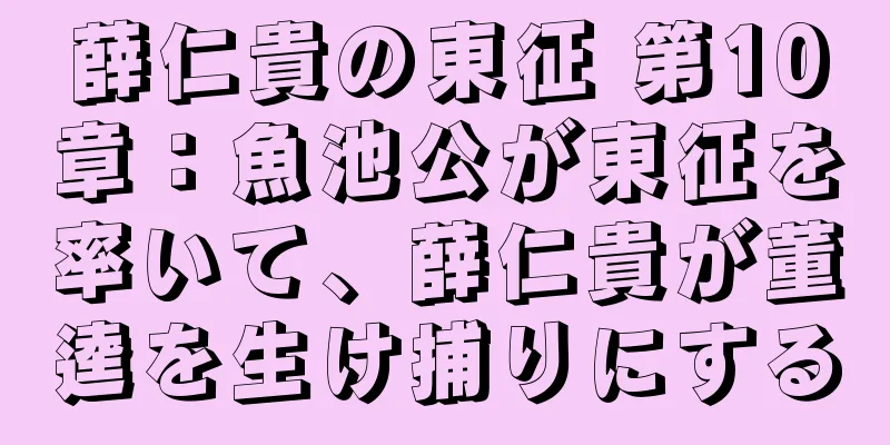 薛仁貴の東征 第10章：魚池公が東征を率いて、薛仁貴が董逵を生け捕りにする