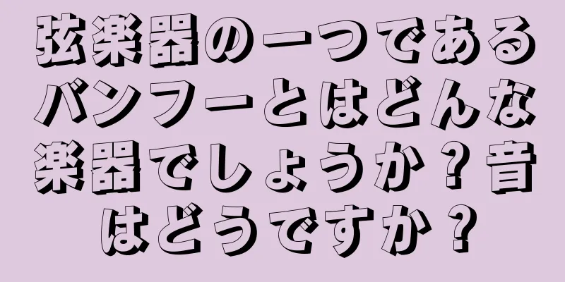 弦楽器の一つであるバンフーとはどんな楽器でしょうか？音はどうですか？