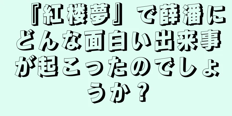『紅楼夢』で薛潘にどんな面白い出来事が起こったのでしょうか？