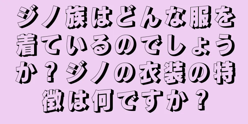 ジノ族はどんな服を着ているのでしょうか？ジノの衣装の特徴は何ですか？