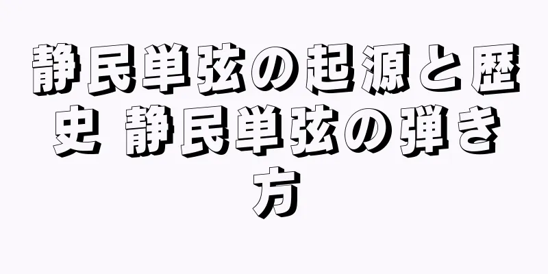 静民単弦の起源と歴史 静民単弦の弾き方