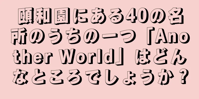 頤和園にある40の名所のうちの一つ「Another World」はどんなところでしょうか？