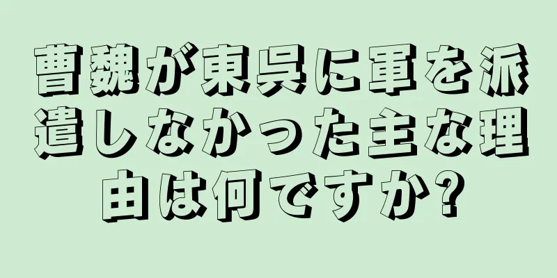 曹魏が東呉に軍を派遣しなかった主な理由は何ですか?