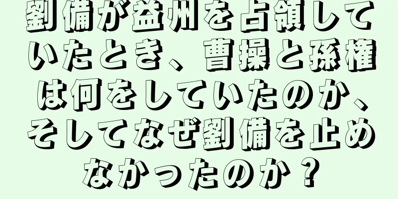 劉備が益州を占領していたとき、曹操と孫権は何をしていたのか、そしてなぜ劉備を止めなかったのか？