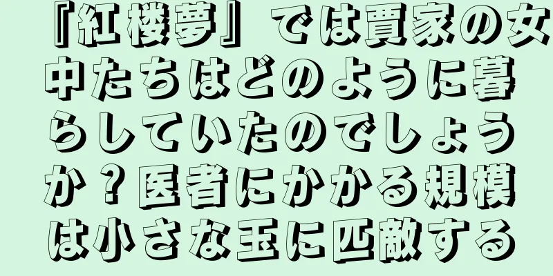 『紅楼夢』では賈家の女中たちはどのように暮らしていたのでしょうか？医者にかかる規模は小さな玉に匹敵する