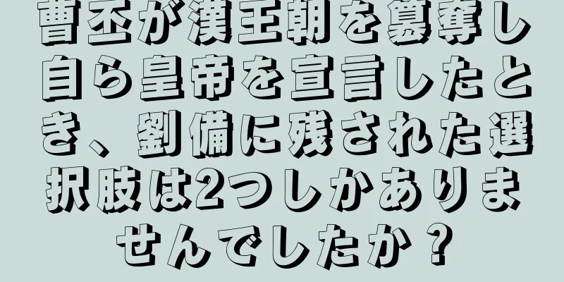 曹丕が漢王朝を簒奪し自ら皇帝を宣言したとき、劉備に残された選択肢は2つしかありませんでしたか？