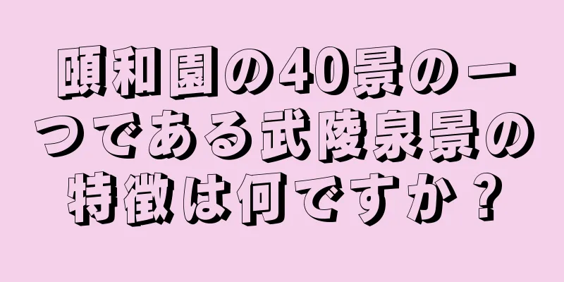 頤和園の40景の一つである武陵泉景の特徴は何ですか？