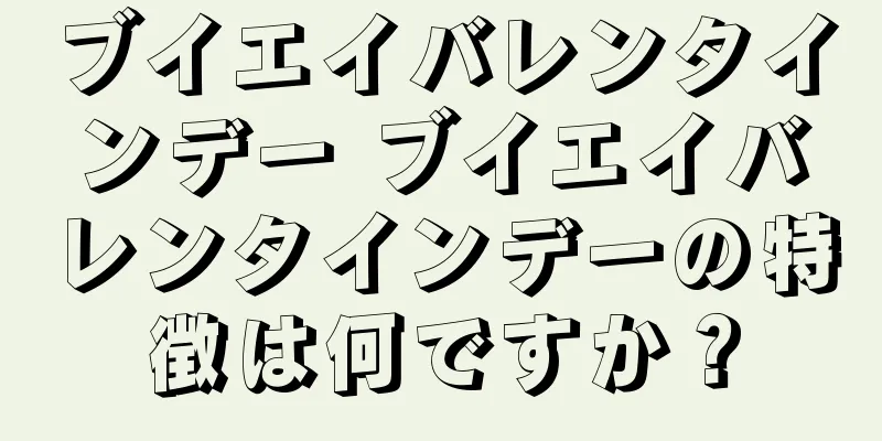 ブイエイバレンタインデー ブイエイバレンタインデーの特徴は何ですか？