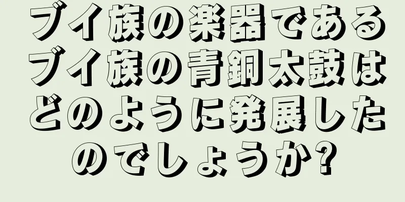 ブイ族の楽器であるブイ族の青銅太鼓はどのように発展したのでしょうか?