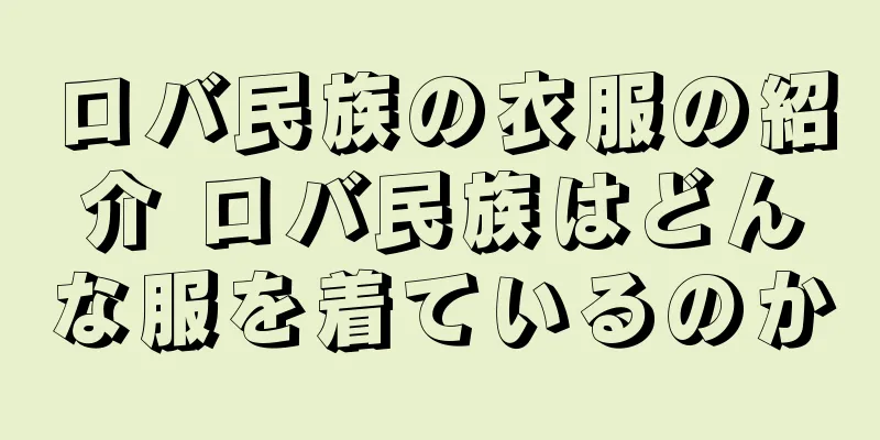ロバ民族の衣服の紹介 ロバ民族はどんな服を着ているのか