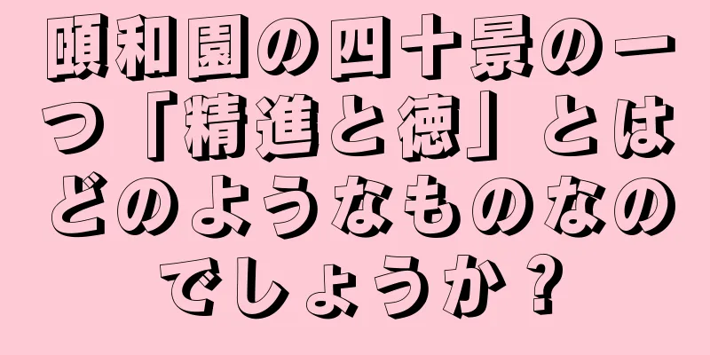 頤和園の四十景の一つ「精進と徳」とはどのようなものなのでしょうか？