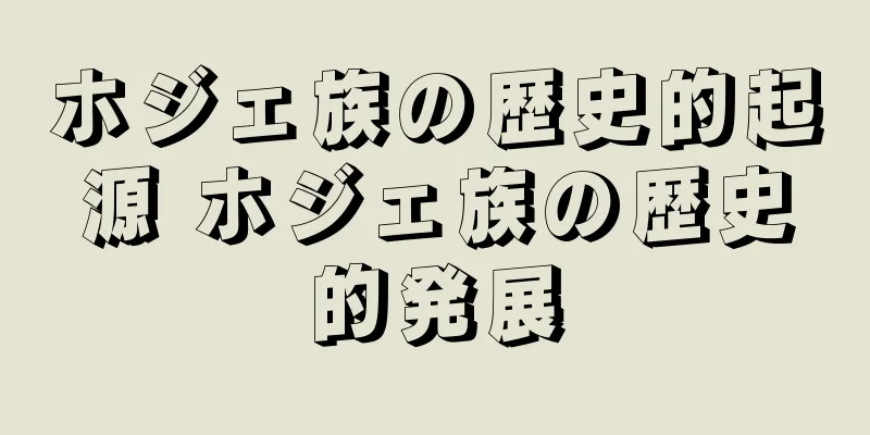 ホジェ族の歴史的起源 ホジェ族の歴史的発展