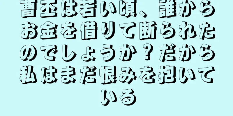 曹丕は若い頃、誰からお金を借りて断られたのでしょうか？だから私はまだ恨みを抱いている