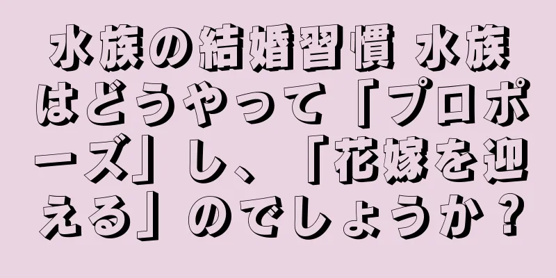 水族の結婚習慣 水族はどうやって「プロポーズ」し、「花嫁を迎える」のでしょうか？