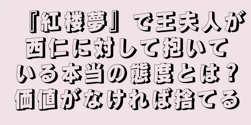 『紅楼夢』で王夫人が西仁に対して抱いている本当の態度とは？価値がなければ捨てる