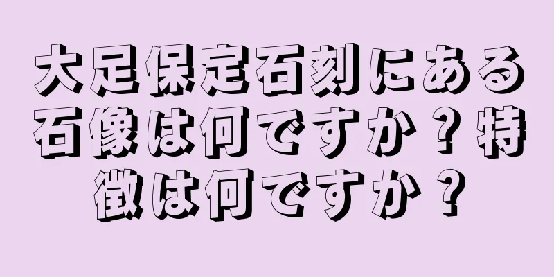 大足保定石刻にある石像は何ですか？特徴は何ですか？