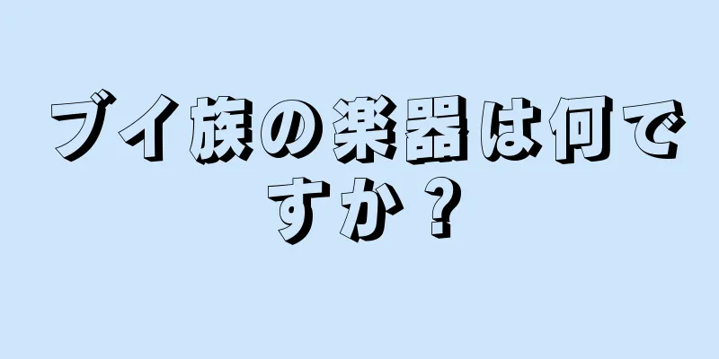 ブイ族の楽器は何ですか？