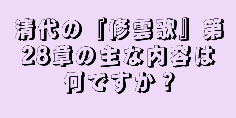 清代の『修雲歌』第28章の主な内容は何ですか？