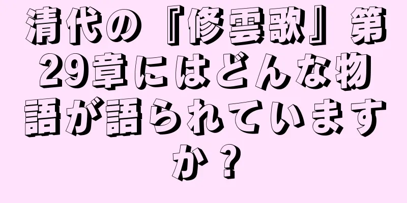 清代の『修雲歌』第29章にはどんな物語が語られていますか？