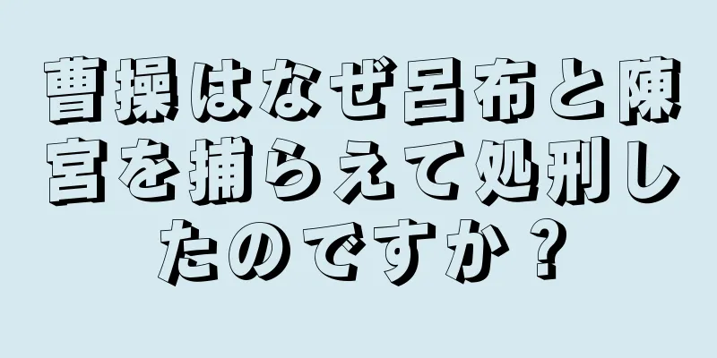 曹操はなぜ呂布と陳宮を捕らえて処刑したのですか？