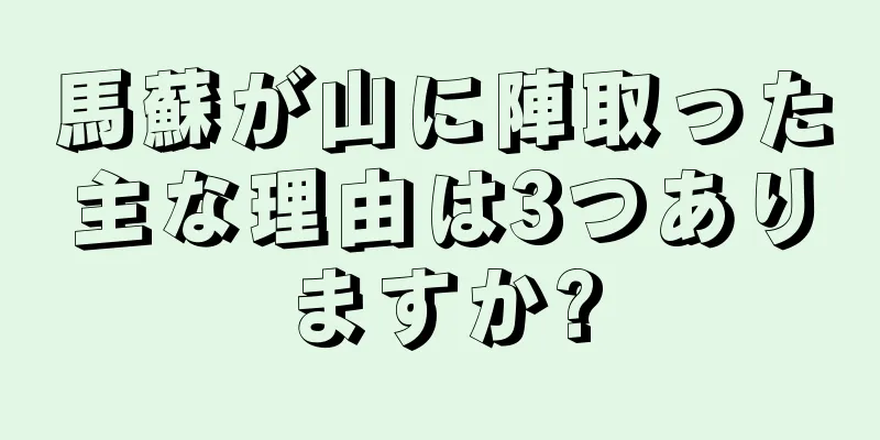 馬蘇が山に陣取った主な理由は3つありますか?