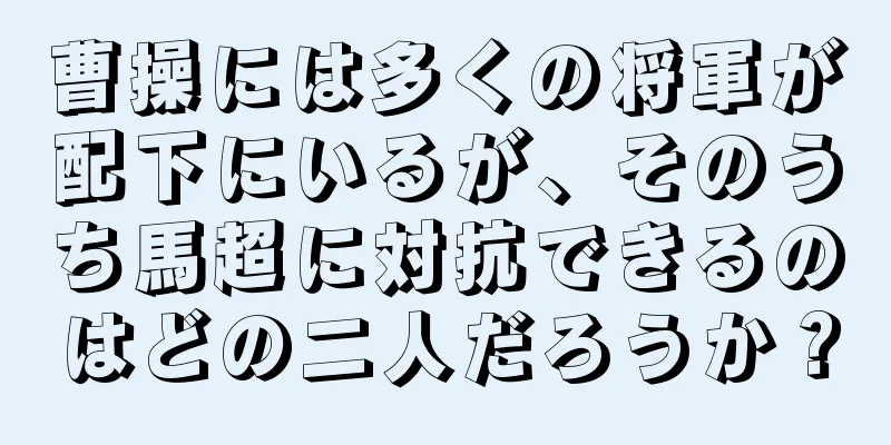 曹操には多くの将軍が配下にいるが、そのうち馬超に対抗できるのはどの二人だろうか？