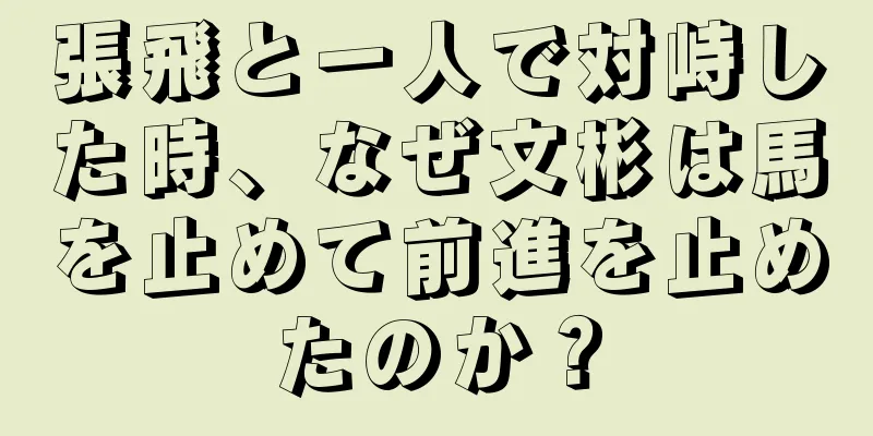 張飛と一人で対峙した時、なぜ文彬は馬を止めて前進を止めたのか？